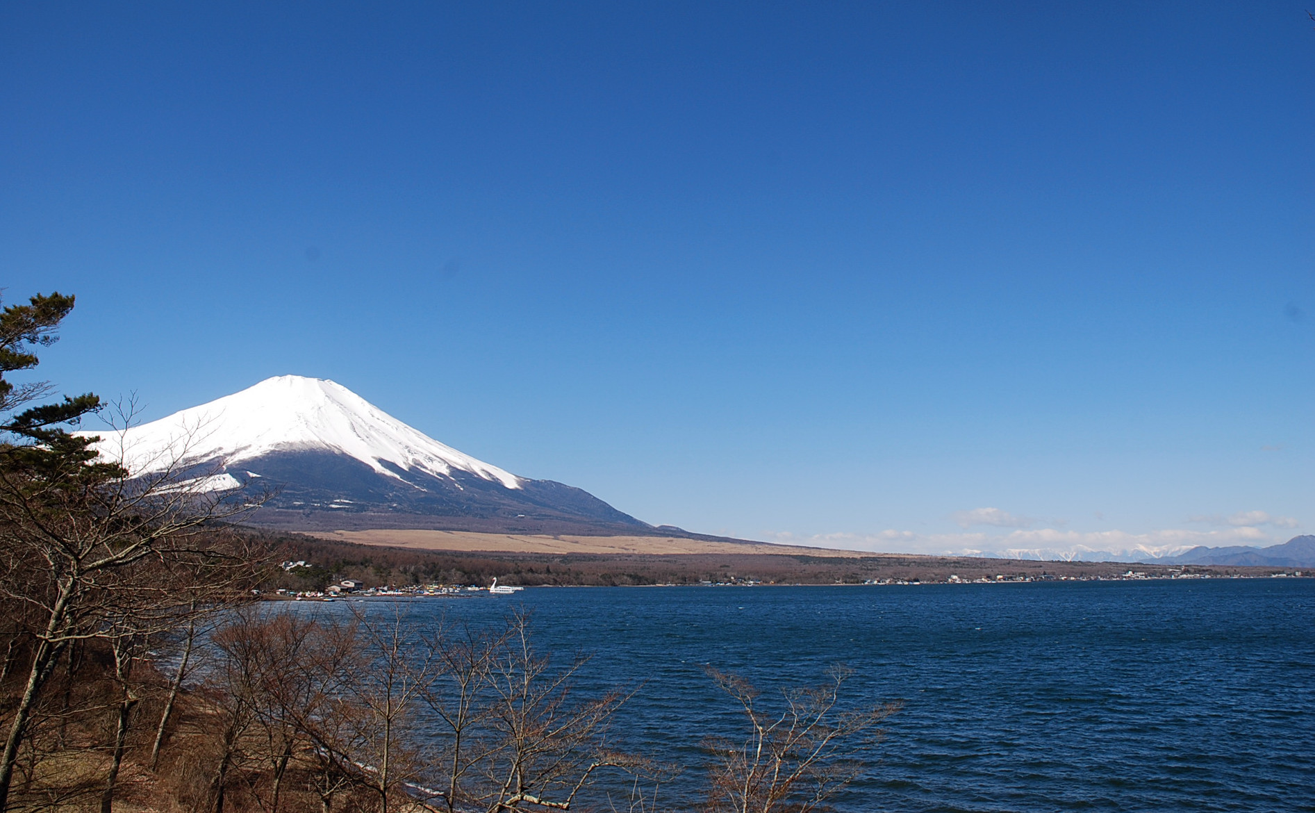 最近の富士山